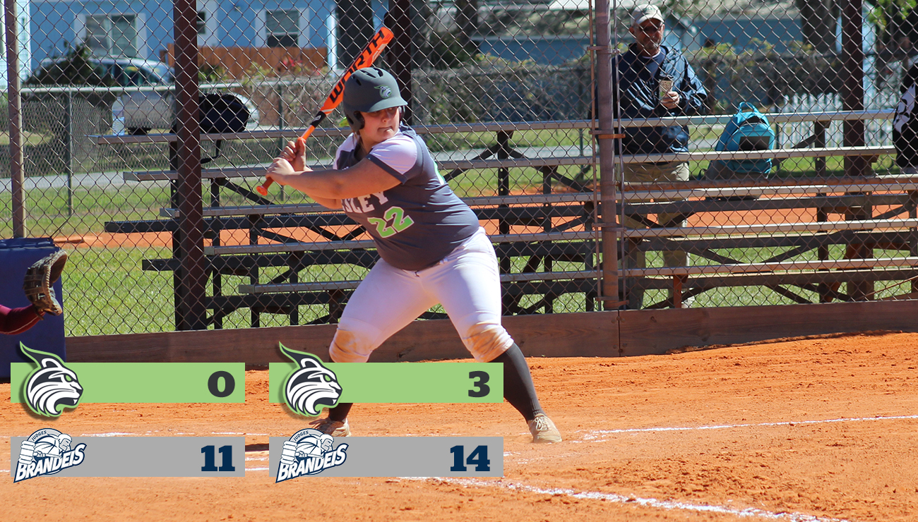 Murphy Launches First Collegiate Homerun; Lynx Fall to Tough Non-Conference Opponent Brandeis University