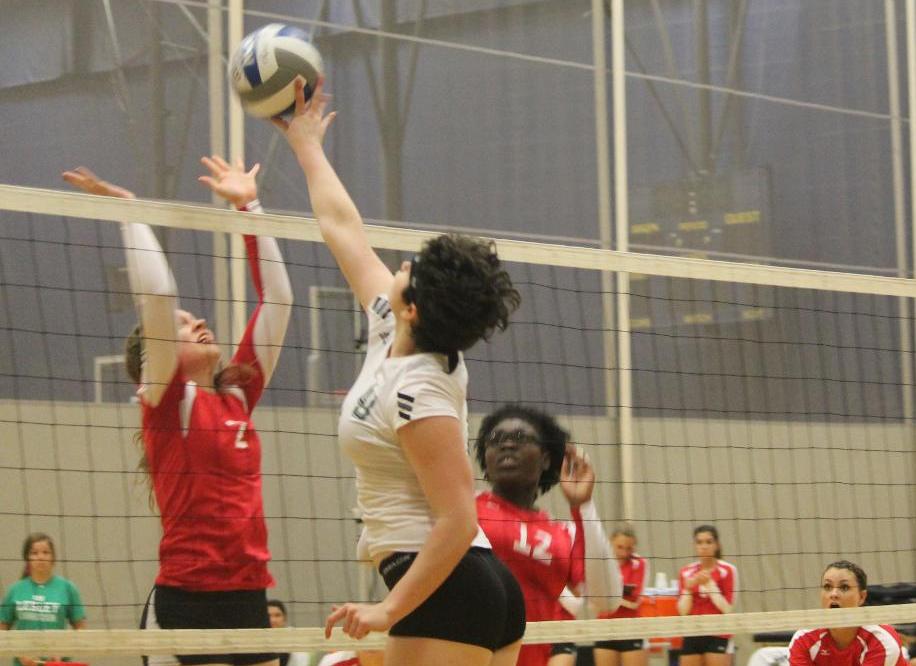 Women's Volleyball Claws Past Lions in 3-0 Sweep