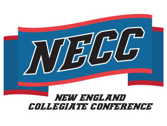 NECC honors Women's Volleyball All-Conference