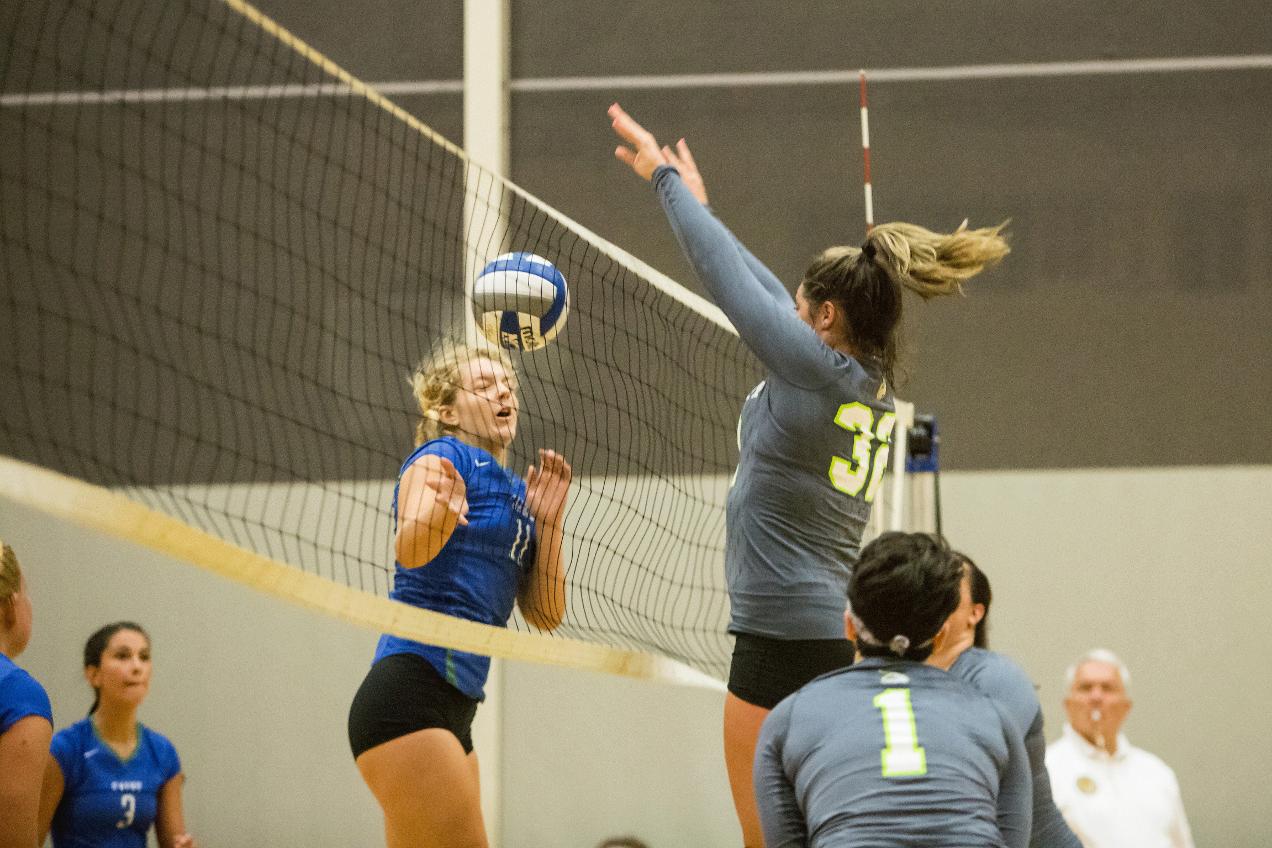 Women's Volleyball Races Past Bay Path