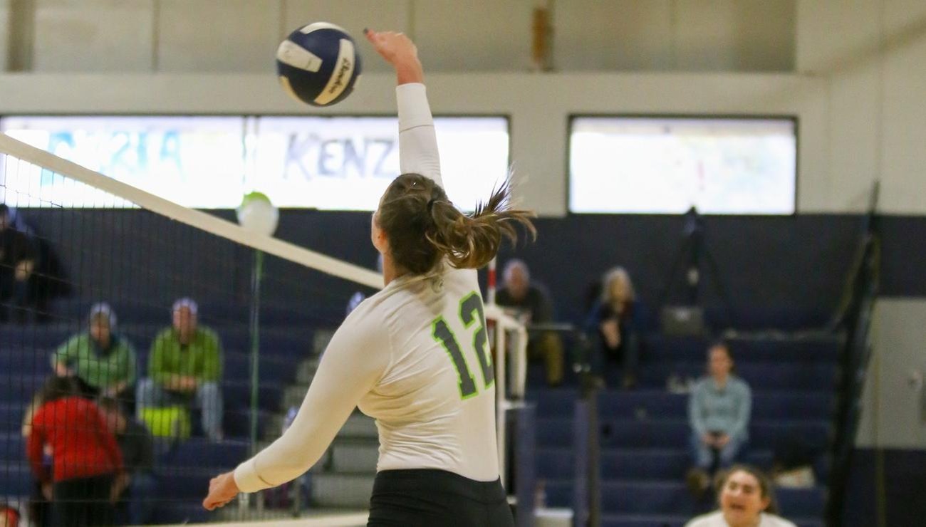 Lynx Earn Close Victory Over Falcons in Four Sets